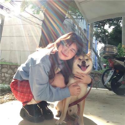 离婚后，总裁老婆她后悔了